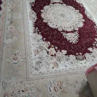 فرش ۱۲ متری|فرش|گنبد کاووس, |دیوار