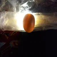 مهره جفت سلیمانی|جواهرات|مرودشت, ولایت|دیوار