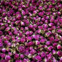 غنچه گل محمدی|عمده‌فروشی|اصفهان, شهرک کاوه|دیوار