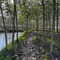 ویلاچوبی دوبلکس/باایده وطراحی بی نظیر|فروش خانه و ویلا|شاهینشهر, شهرک مطهری|دیوار