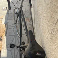 دوچرخه کورسی کلکسیونی|دوچرخه، اسکیت، اسکوتر|شیراز, کاراندیش|دیوار