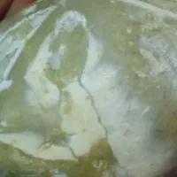 فسیل|کلکسیون اشیاء عتیقه|همدان, |دیوار