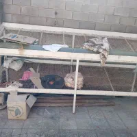 بساط میوه فروشی