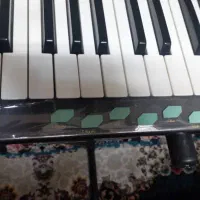 فروش ارگ جی ام ws1|پیانو، کیبورد، آکاردئون|شیراز, شریفآباد|دیوار