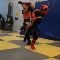 آموزش کونگ فو