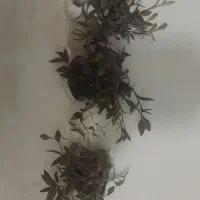 گل با گلدان فقط ۱۳۵۰۰۰ تومان