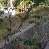 اجاره باغ شهر  ۱۰۰۰ متری برای انباری و دپو