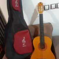 گیتار کلاسیک|گیتار، بیس، امپلیفایر|اردبیل, |دیوار