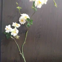 گل پارچه ای شاخه ای|گل مصنوعی|اهواز, بهارستان|دیوار
