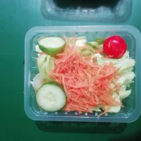 سالاد اندونزی، سالاد شیرازی،سالاد کاهو شرکتی