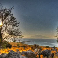 وان ترکیه، استانبول و سایر شهرها