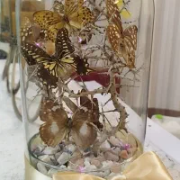 تراریوم پروانه (چوب و پروانه طبیعی) هدیه روز مادر