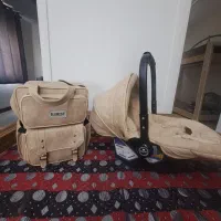 سیسمونی نوزاد