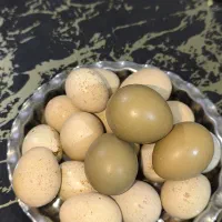 تخم نطفه دار فروشی