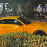 شیشه دودی نصب در محل با ضمانت|خدمات موتور و ماشین|اصفهان, میرعماد|دیوار