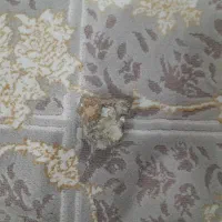 سنگی که درخودش آهن جزبشده.