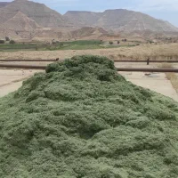 کاه یونجه سبز