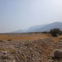 زمین ۹۵۰ متری سند تک برگ اول ایسین