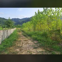 ۳ قطعه زمین باغی ۹۷۵متر مسکونی۴۱۶مترو ویلا معاوضه|فروش زمین و ملک کلنگی|لاهیجان, لیالستان|دیوار