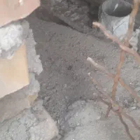 گرگی نر گم کردم