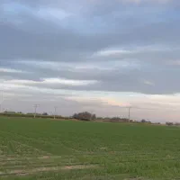 اجاره زمین کشاورزی