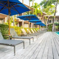 استخدام نیروی کار آقا