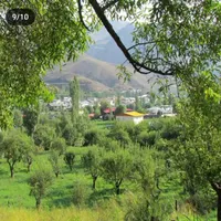 زمین فروشی|فروش زمین و ملک کلنگی|بلده, |دیوار
