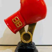 نیاز به مربی بوکس