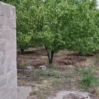 باغ/۲۳۸۰متر/روستای ژان|فروش دفتر صنعتی، کشاورزی، تجاری|دورود, |دیوار