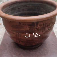 گلدان سفالی|گل و گیاه طبیعی|گنبد کاووس, |دیوار