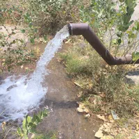 اجاره بیست و پنج هکتار زمین کشاورزی+18 هکتار و +۴۰