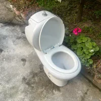 سرویس فرنگی