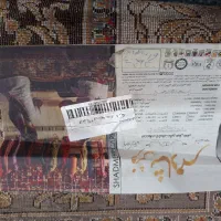 دو عدد قالی|فرش|بردسیر, |دیوار