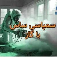 سمپاشی100%ضمانتی باغستان گلشهرطالقانی حصارک