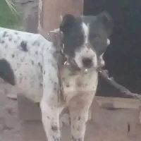 نیاز ب پولش دارم