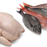 نیرو جهت کار در مرغ و ماهی