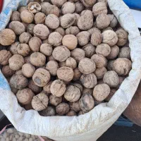 ازتولید به مصرف محصولات کاملا اورگانیک