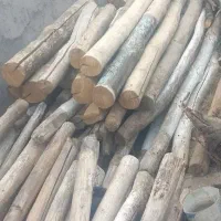 تیر سقفی چوب سقفی