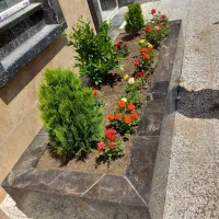 خدمات باغبانی باغچه کاری گلکاری تعویض خاک گلدون گل|خدمات باغبانی و درختکاری|تهران, صادقیه|دیوار