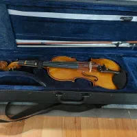 ویولون|ویولن|شیراز, قدوسی غربی|دیوار