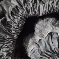 شلوار بادگیر|لباس|مسجد سلیمان, |دیوار