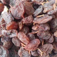 کشمش افتابی نقدی و چک|خوردنی و آشامیدنی|سامان, |دیوار