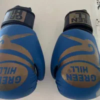 دستکش بوکس گرین هیل