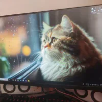 asus pg259qn مانیتور|قطعات و لوازم جانبی رایانه|تهران, دژکام|دیوار