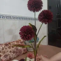 6شاخه گل سالم|گل مصنوعی|ملایر, |دیوار