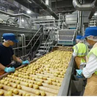 استخدام ۳۰ نفر کارگر ساده و..