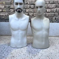 مانکن|فروشگاه و مغازه|شیراز, کوشک میدان|دیوار