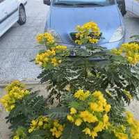 تیبا ۲|خودرو سواری و وانت|بندر کنگان, |دیوار