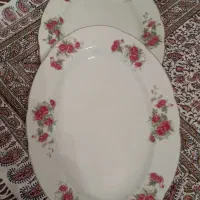 ۴ عدد دیس و ۲ عدد مرغ‌خوری گل‌سرخی قدیمی|کلکسیون اشیاء عتیقه|رشت, رشتیان|دیوار