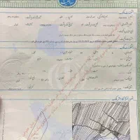 با شرایط فوق العاد صاحب زمین سند۶ دانگ شوید|فروش زمین و ملک کلنگی|جعفرآباد, |دیوار